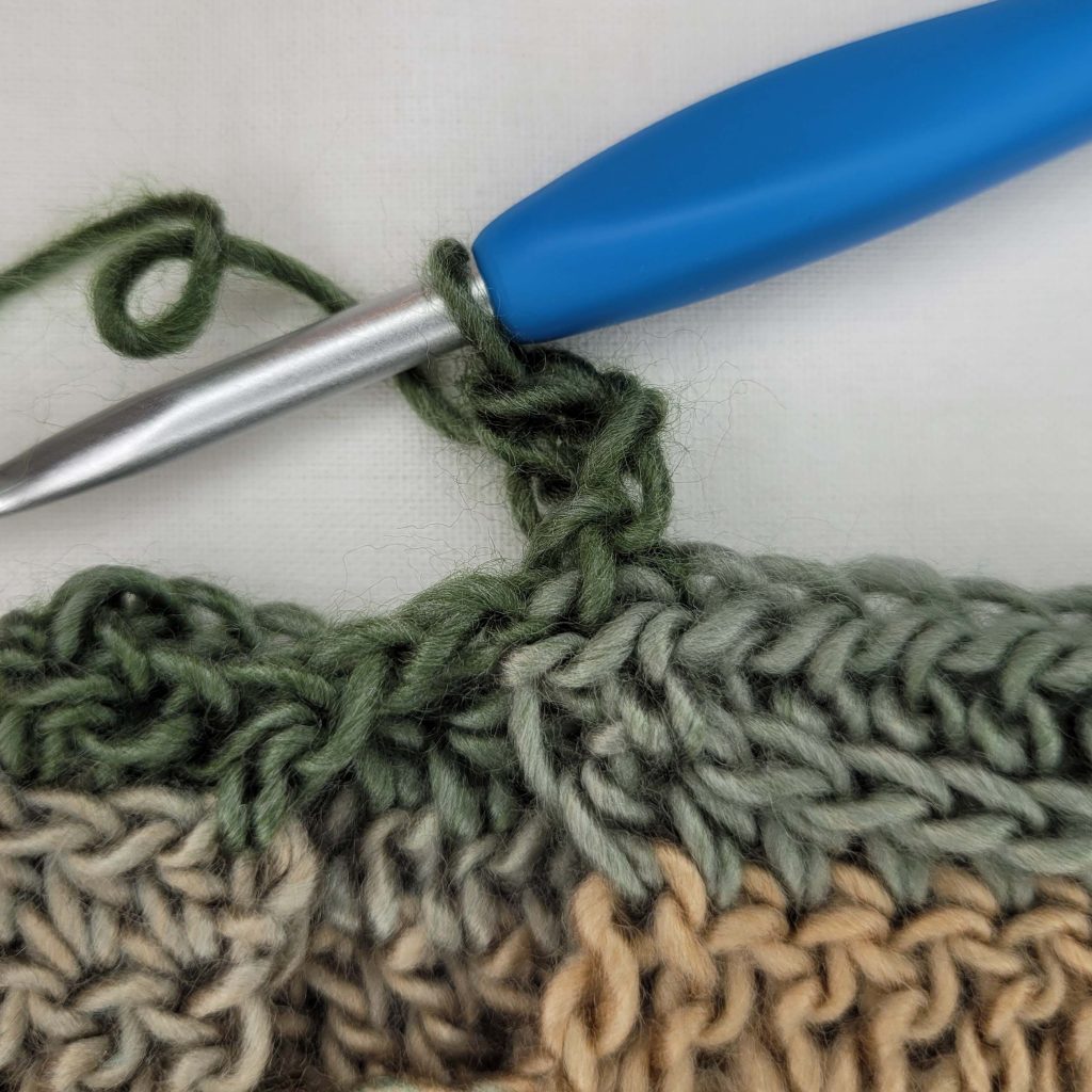 Crochet Fingerless Gloves Pattern - Phaseolus