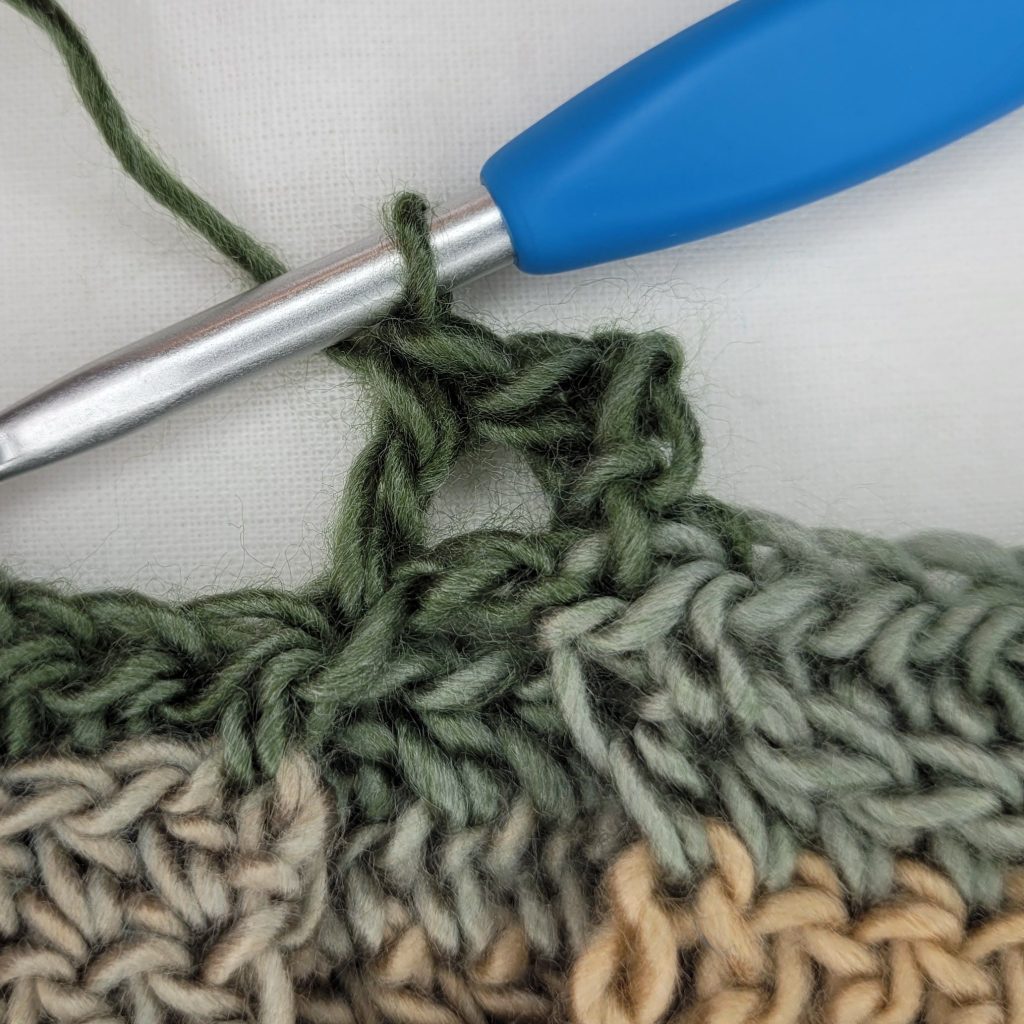 Crochet Fingerless Gloves Pattern - Phaseolus
