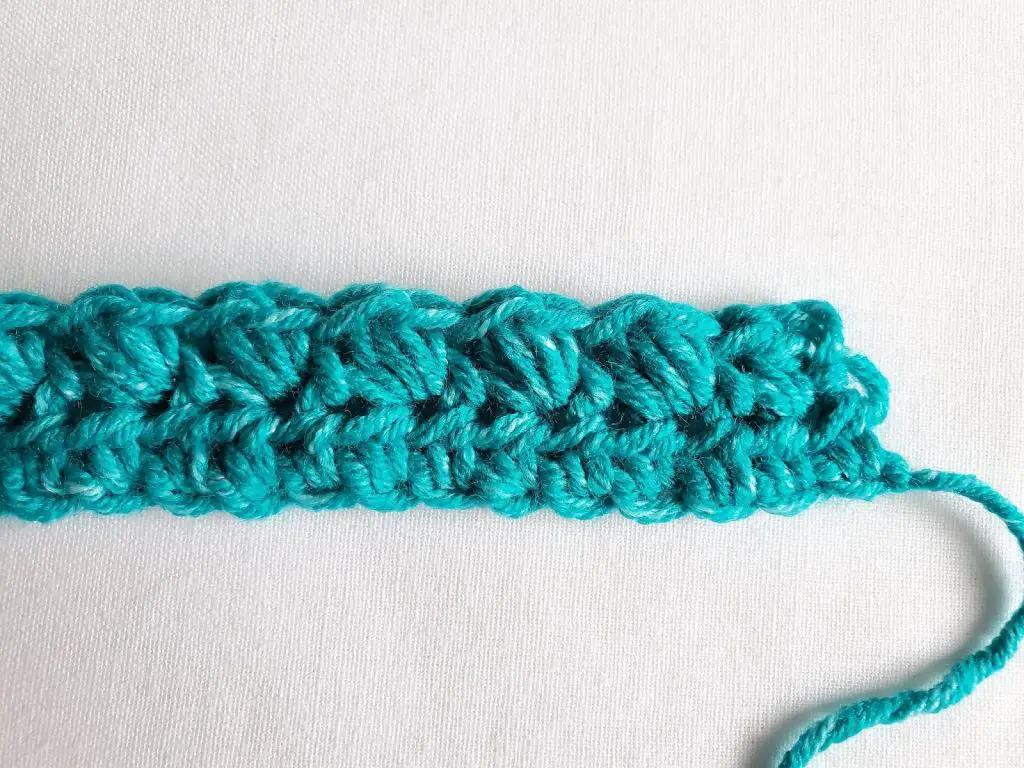 A row of Bean Stitches. 